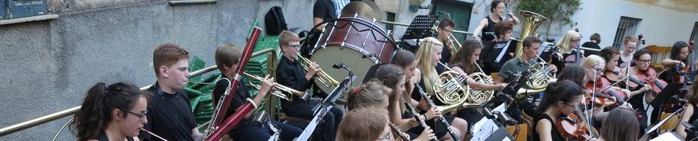 Jugendsinfonieorchester, Offenburg, Musikschule, Offenburg/Ortenau, Ortenau, Streicher, Philharmonie am Forum, Rol Schilli, Geigenunterricht, Bratschenunterricht, Cellounterricht, kontrabassunterricht, Instrument lernen, Jugendfreizeit, Konzerte, Veranstaltungen,